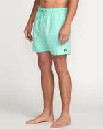 All Day Laybacks 16" Trunks - Bermuda - Image 7
