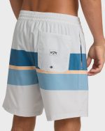 Good Times Layback 16" Trunks - Silver - Image 6