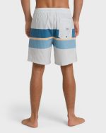 Good Times Layback 16" Trunks - Silver - Image 2