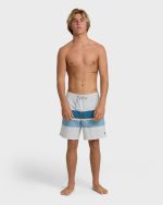Good Times Layback 16" Trunks - Silver - Image 4