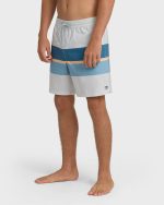 Good Times Layback 16" Trunks - Silver - Image 3