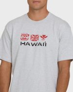 Kahili Hawaii Regular Short Sleeve Tee - Heather Gray - Image 5