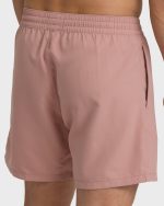All Day Laybacks 16" Trunks - Ash Rose - Image 6