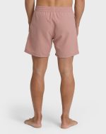 All Day Laybacks 16" Trunks - Ash Rose - Image 2