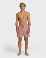 All Day Laybacks 16" Trunks - Ash Rose - Image 4