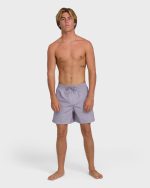 All Day Laybacks 16" Trunks - Purple Ash - Image 4