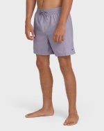 All Day Laybacks 16" Trunks - Purple Ash - Image 3
