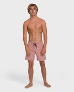 Dbah Panel Layback 16" Trunks - Ash Rose - Image 4