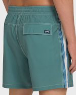 Dbah Panel Layback 16" Trunks - Deep Sea - Image 5