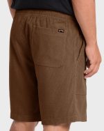 De La Cruz Cord 18" Amphibian Hybrid Shorts - Sepia - Image 5