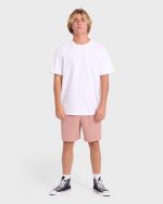 Crossfire Elastic Wave Washed 18" Amphibian Hybrid Shorts - Ash Rose - Image 3