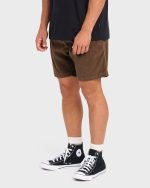 Larry Layback Corduroy Shorts - Carafe - Image 4