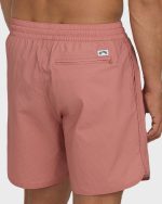 Reform Layback 17" Trunks - Ash Rose - Image 5