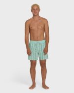 Good Times Layback 16" Trunks - Vintage Green - Image 4