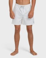 Every Other Day Wave Washed Layback 16" Trunks - Fog Gray