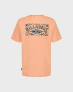 Little Boys Heritage Arch Short Sleeve T-Shirt - Image 2