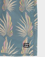 Boys Lineup Layback Trunks - Image 5