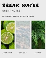 Break Water Body Wash - Image 4