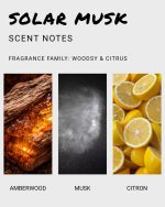 Solar Musk Body Wash - Image 4